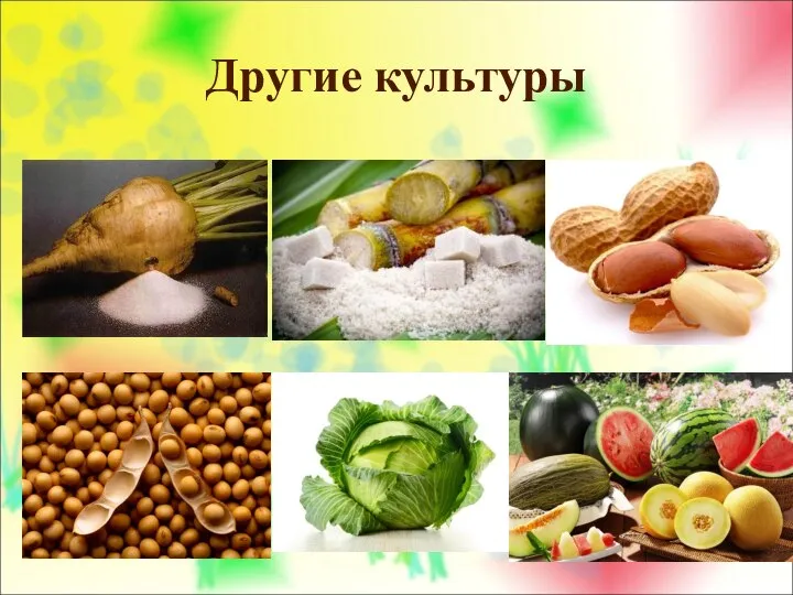 Другие культуры