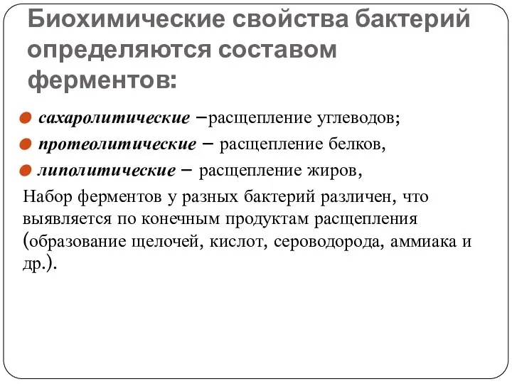 Биохимические свойства бактерий определяются составом ферментов: сахаролитические –расщепление углеводов; протеолитические –