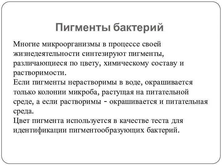 Многие микроорганизмы в процессе своей жизнедеятельности синтезируют пигменты, различающиеся по цвету,