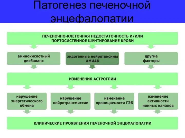 Патогенез печеночной энцефалопатии