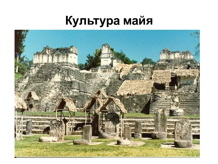 Культура майя