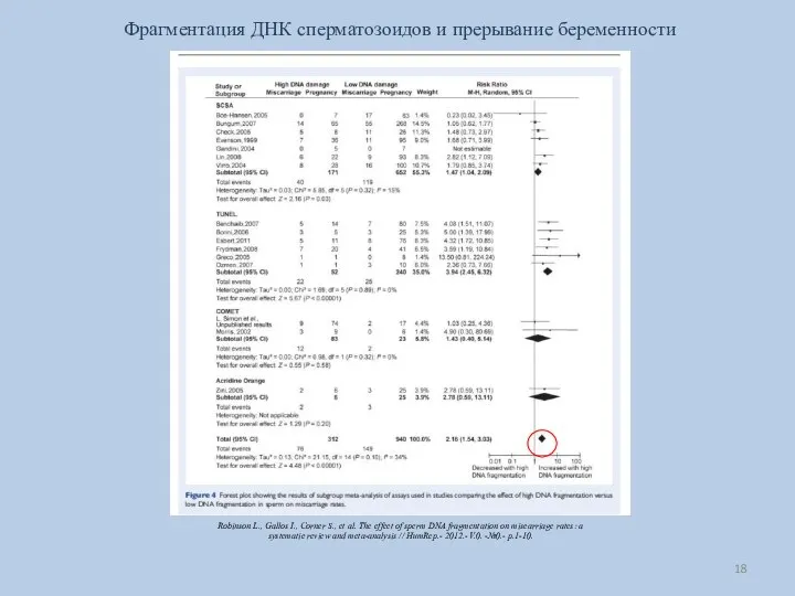 Фрагментация ДНК сперматозоидов и прерывание беременности Robinson L., Gallos I., Corner