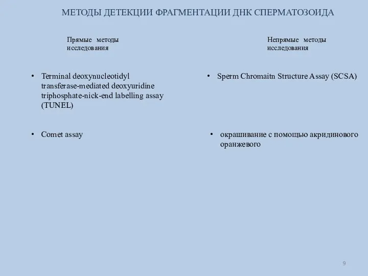 МЕТОДЫ ДЕТЕКЦИИ ФРАГМЕНТАЦИИ ДНК СПЕРМАТОЗОИДА Прямые методы исследования Непрямые методы исследования