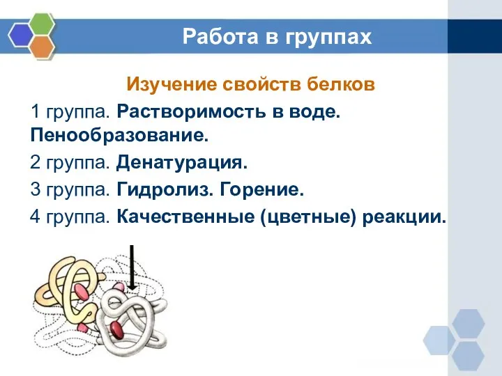 Работа в группах Изучение свойств белков 1 группа. Растворимость в воде.