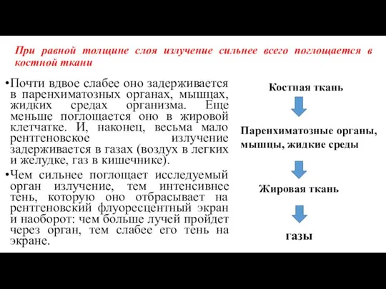 При равной толщине слоя излучение сильнее всего поглощается в костной ткани