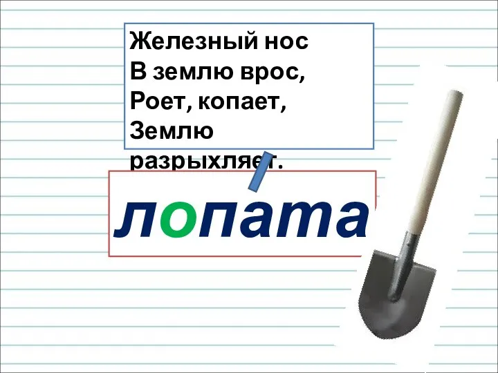 Железный нос В землю врос, Роет, копает, Землю разрыхляет. лопата