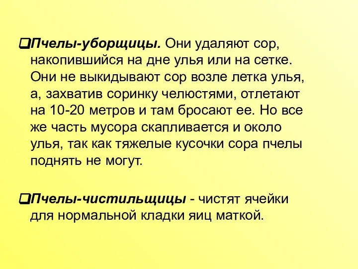 Пчелы-уборщицы. Они удаляют сор, накопившийся на дне улья или на сетке.