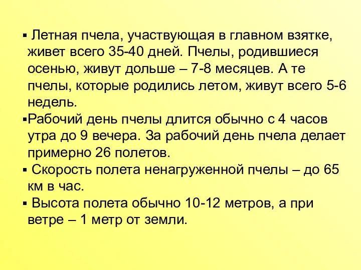 Летная пчела, участвующая в главном взятке, живет всего 35-40 дней. Пчелы,