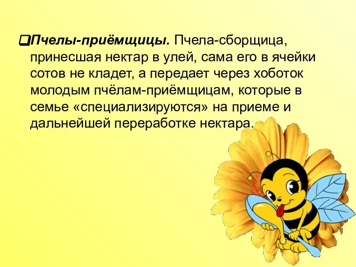 Пчелы-приёмщицы. Пчела-сборщица, принесшая нектар в улей, сама его в ячейки сотов