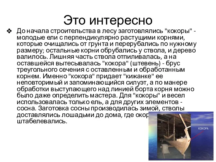 Это интересно До начала строительства в лесу заготовлялись "кокоры" - молодые