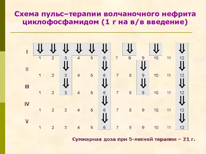 Схема пульс–терапии волчаночного нефрита циклофосфамидом (1 г на в/в введение)