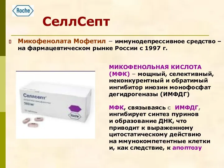 СеллСепт Микофенолата Мофетил – иммунодепрессивное средство – на фармацевтическом рынке России
