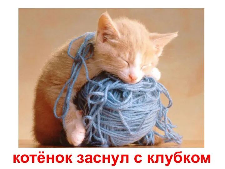 котёнок заснул с клубком