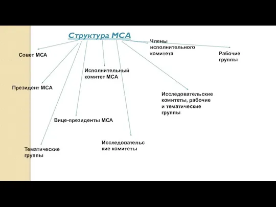 Структура МСА Совет МСА Исполнительный комитет МСА Президент МСА Вице-президенты МСА