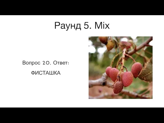 Раунд 5. Mix Вопрос 20. Ответ: ФИСТАШКА