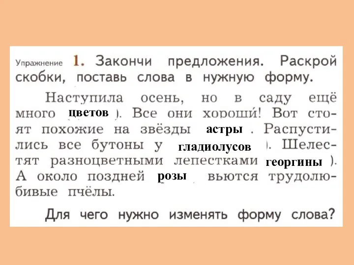 цветов астры гладиолусов георгины розы