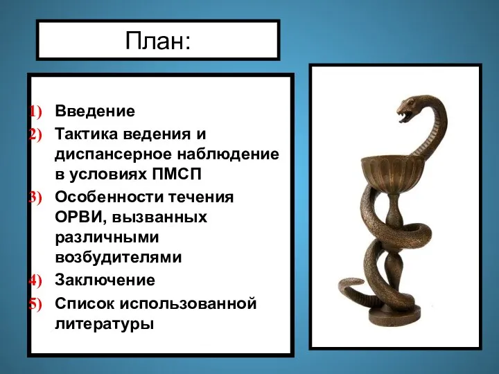 План: Введение Тактика ведения и диспансерное наблюдение в условиях ПМСП Особенности