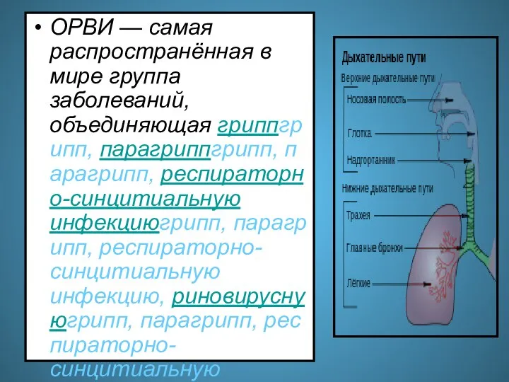 ОРВИ — самая распространённая в мире группа заболеваний, объединяющая гриппгрипп, парагриппгрипп,