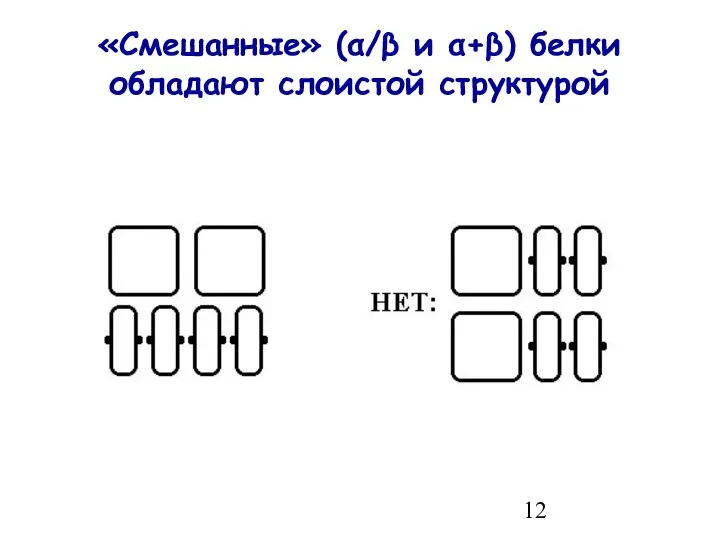 «Смешанные» (α/β и α+β) белки обладают слоистой структурой