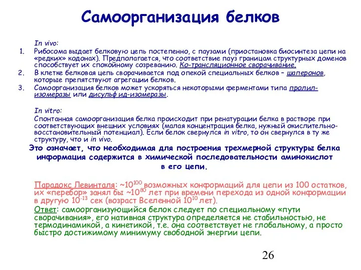 Самоорганизация белков In vivo: Рибосома выдает белковую цепь постепенно, с паузами