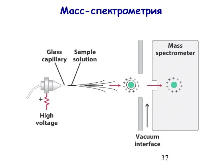 Масс-спектрометрия