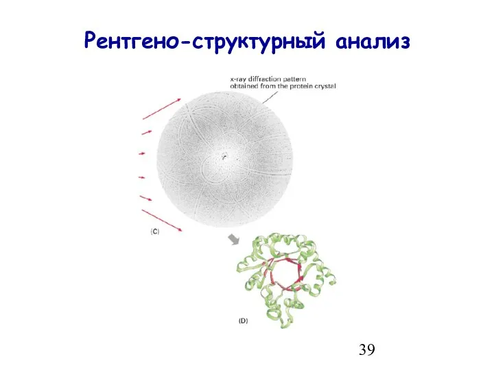 Рентгено-структурный анализ