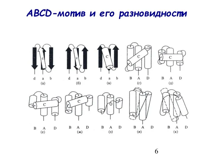 ABCD-мотив и его разновидности