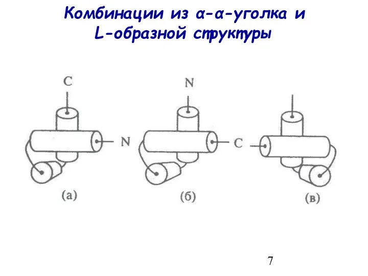 Комбинации из α-α-уголка и L-образной структуры