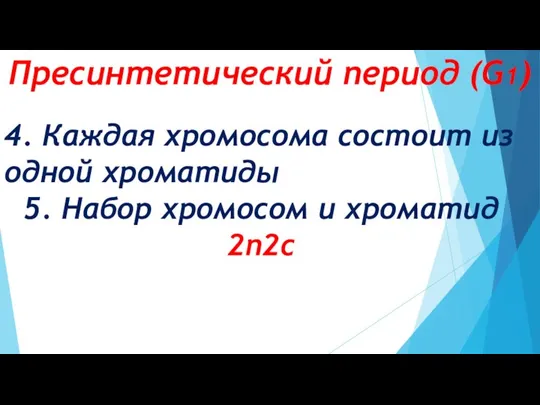 Пресинтетический период (G1) 4. Каждая хромосома состоит из одной хроматиды 5. Набор хромосом и хроматид 2n2c