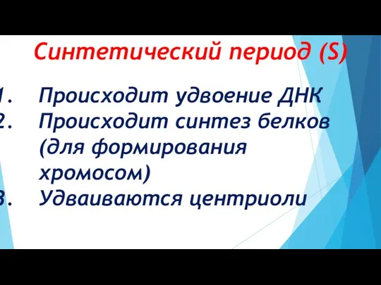 Синтетический период (S) Происходит удвоение ДНК Происходит синтез белков (для формирования хромосом) Удваиваются центриоли