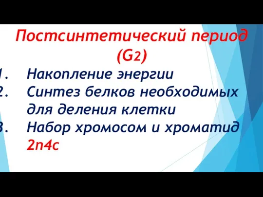 Постсинтетический период (G2) Накопление энергии Синтез белков необходимых для деления клетки Набор хромосом и хроматид 2n4c