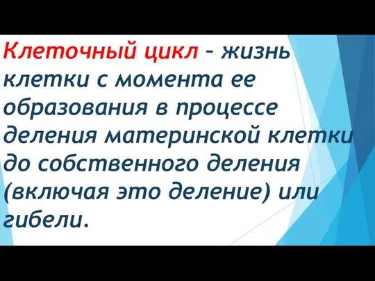 Клеточный цикл – жизнь клетки с момента ее образования в процессе