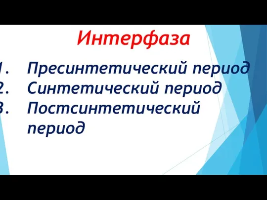 Интерфаза Пресинтетический период Синтетический период Постсинтетический период