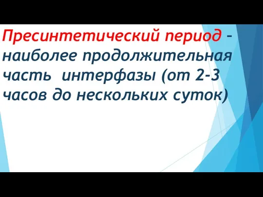 Пресинтетический период – наиболее продолжительная часть интерфазы (от 2-3 часов до нескольких суток)