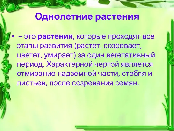 Однолетние растения – это растения, которые проходят все этапы развития (растет,