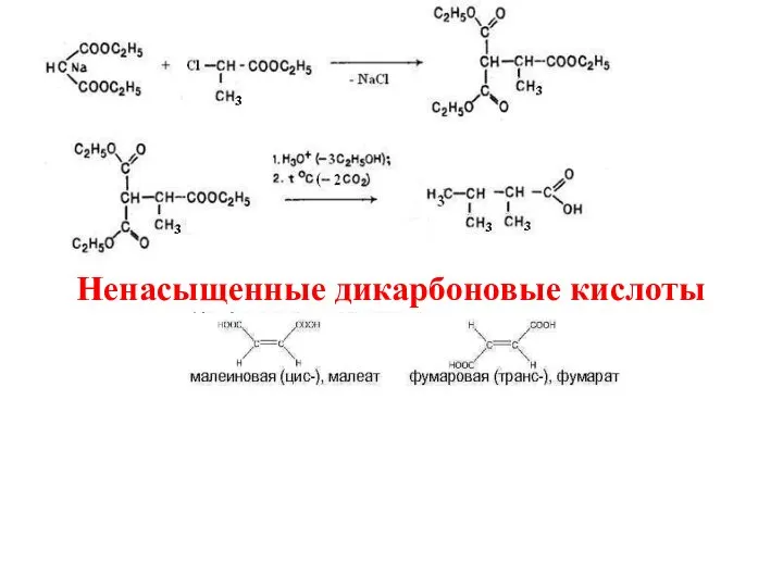 Ненасыщенные дикарбоновые кислоты