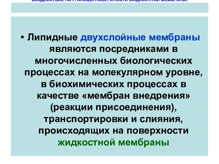 Липидные двухслойные мембраны являются посредниками в многочисленных биологических процессах на молекулярном