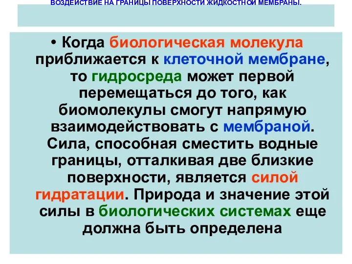 ВОЗДЕЙСТВИЕ НА ГРАНИЦЫ ПОВЕРХНОСТИ ЖИДКОСТНОЙ МЕМБРАНЫ. Когда биологическая молекула приближается к