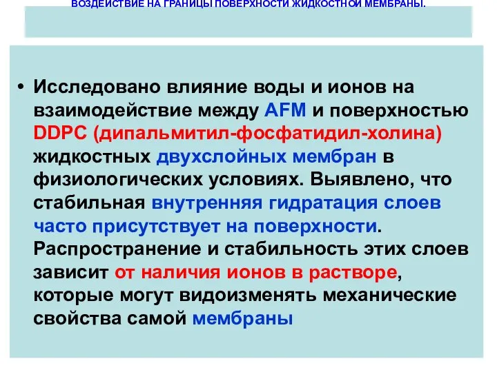 ВОЗДЕЙСТВИЕ НА ГРАНИЦЫ ПОВЕРХНОСТИ ЖИДКОСТНОЙ МЕМБРАНЫ. Исследовано влияние воды и ионов