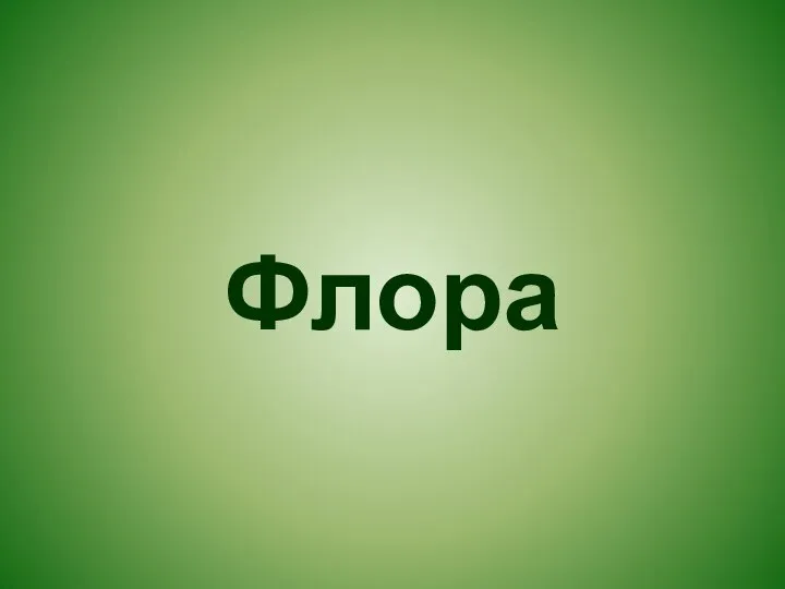 Флора