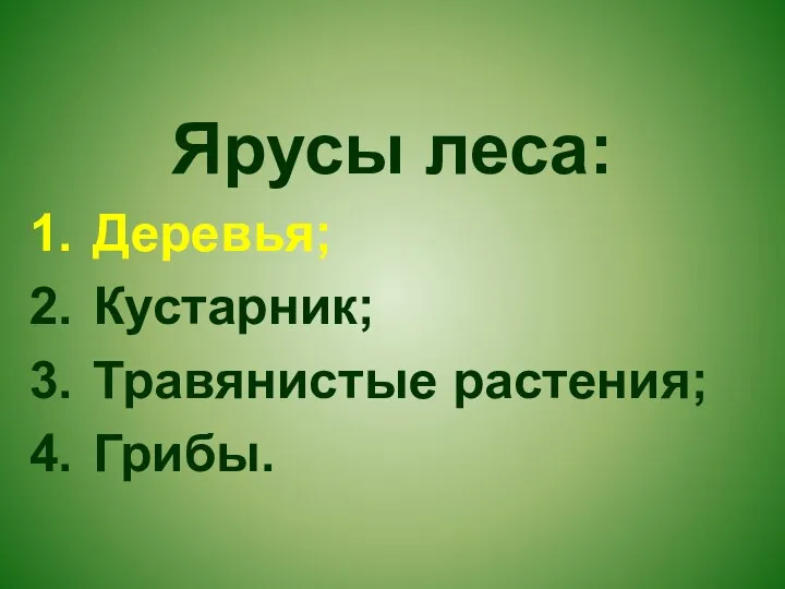 Ярусы леса: Деревья; Кустарник; Травянистые растения; Грибы.