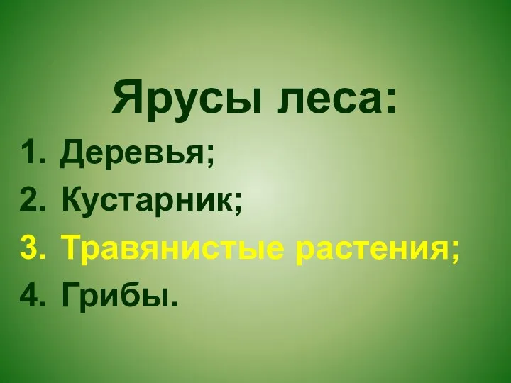 Ярусы леса: Деревья; Кустарник; Травянистые растения; Грибы.