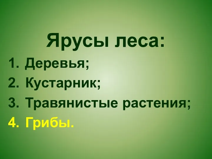 Ярусы леса: Деревья; Кустарник; Травянистые растения; Грибы.