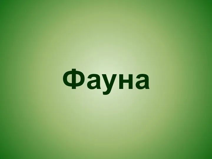 Фауна