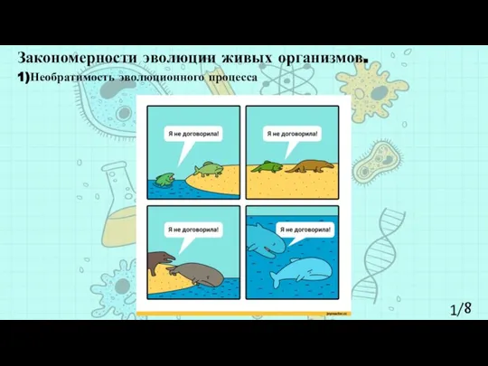 Закономерности эволюции живых организмов. 1/8 1)Необратимость эволюционного процесса