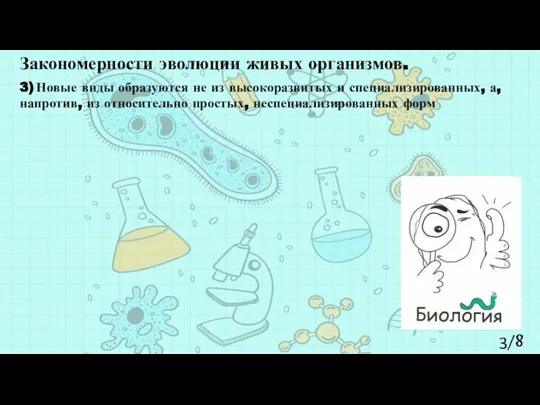 3/8 Закономерности эволюции живых организмов. 3) Новые виды образуются не из