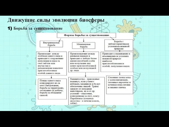 Движущие силы эволюции биосферы 1) Борьба за существование