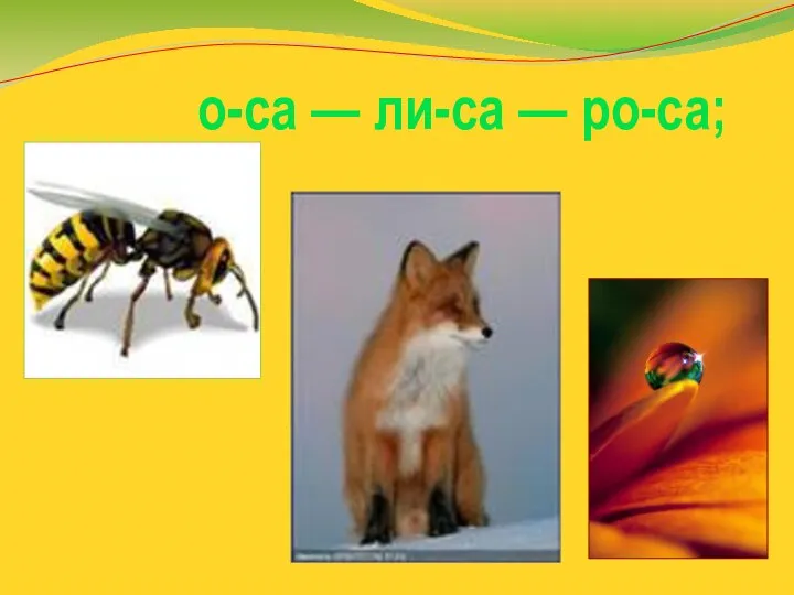 о-са — ли-са — ро-са;