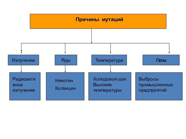 Причины мутаций Излучение Яды Температура Газы Радиоактивное излучение Никотин Колхицин Холодовой