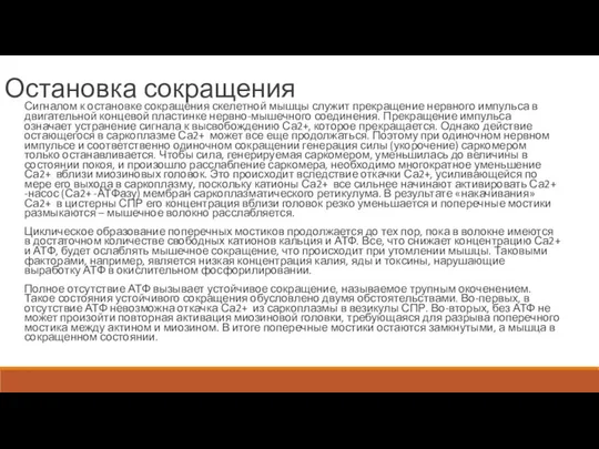 Остановка сокращения Сигналом к остановке сокращения скелетной мышцы служит прекращение нервного